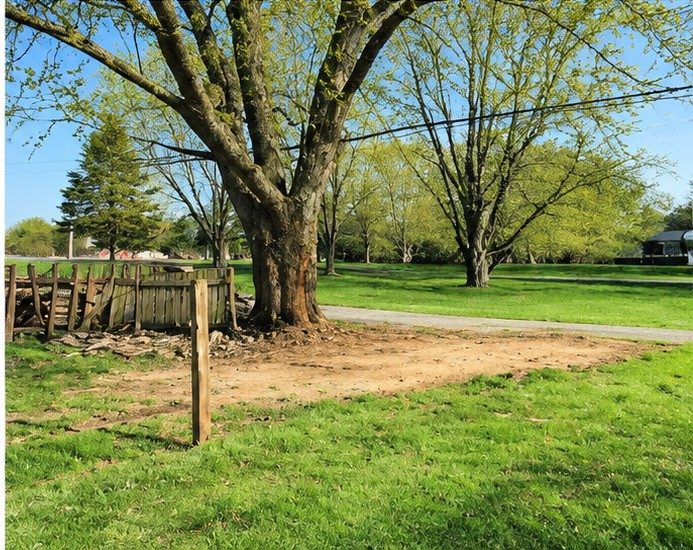 Site cleared for the new shed